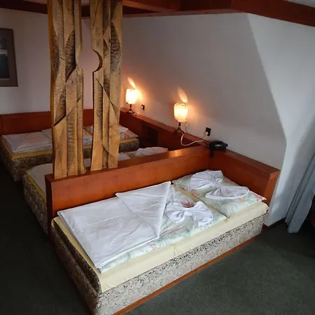 Aplend Dr Szontagh Est 1876 4*